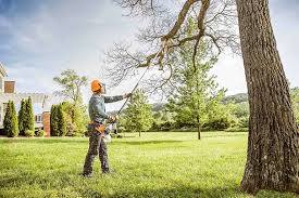 Best Tree Mulching  in Pen Argyl, PA